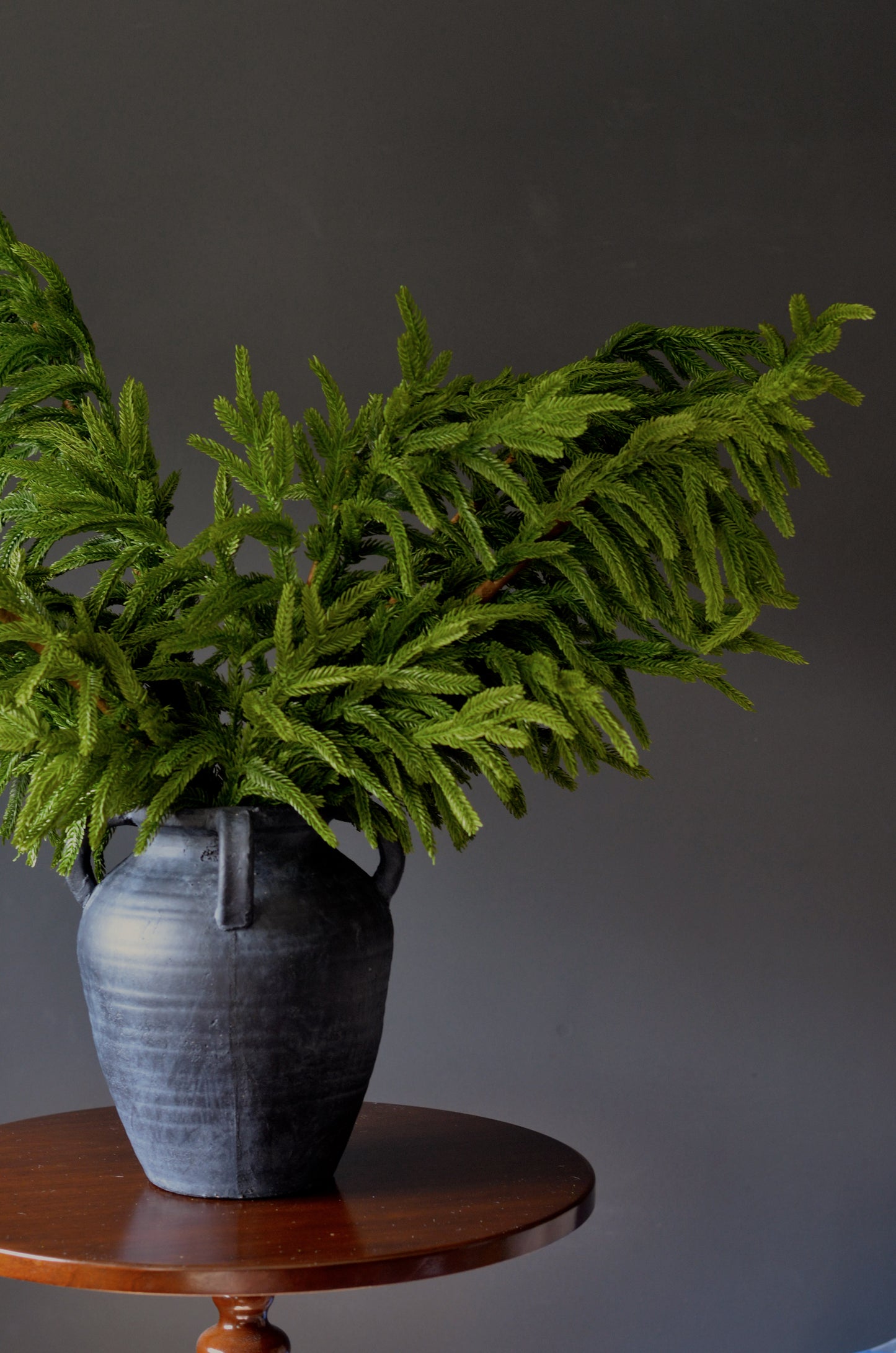 36” Real Touch Norfolk Pine Stems (Set of 3 or 6)