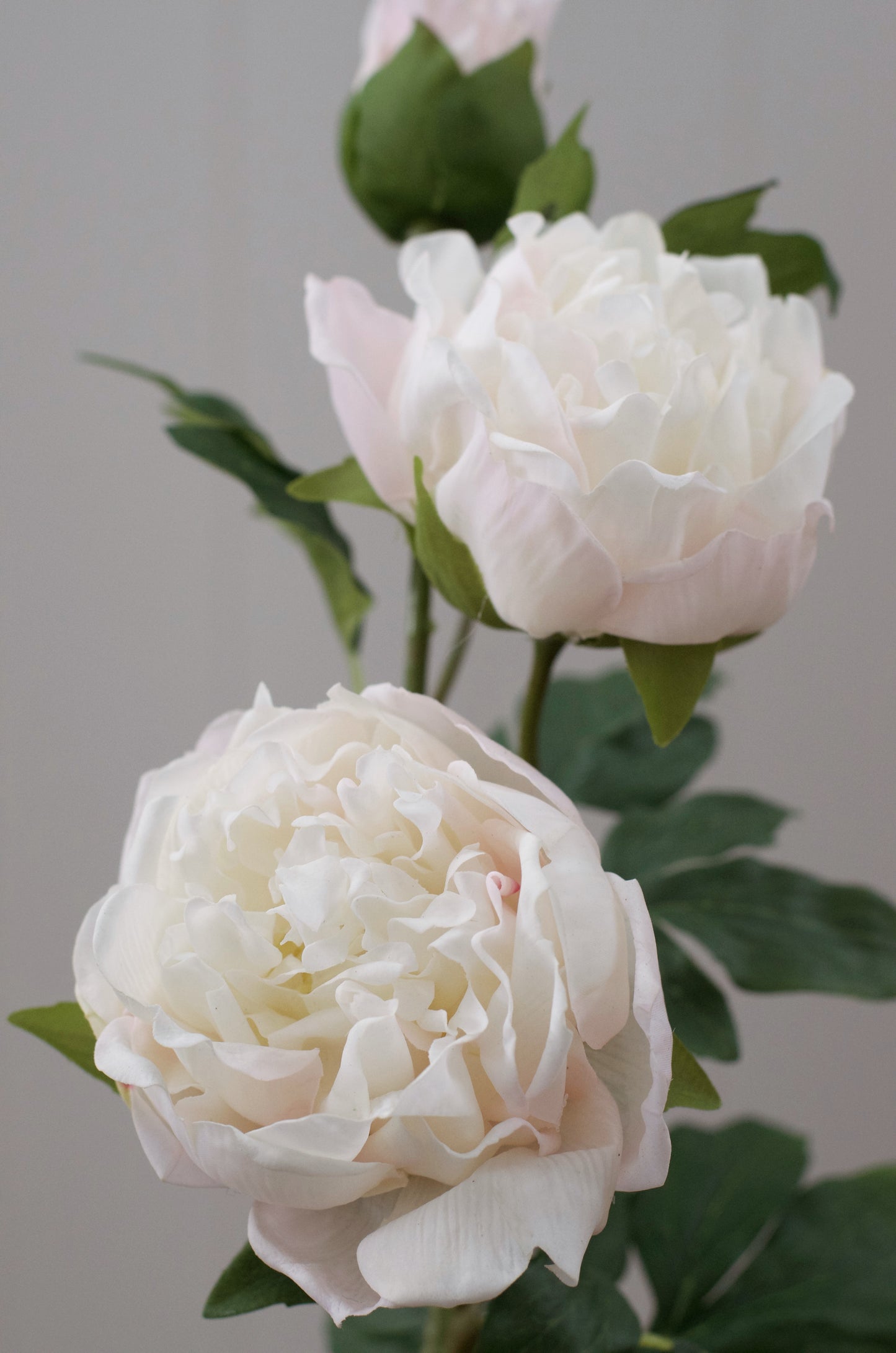 Real Touch Ivory & Blush Peony Stem 31” (Set of 3 or 6)