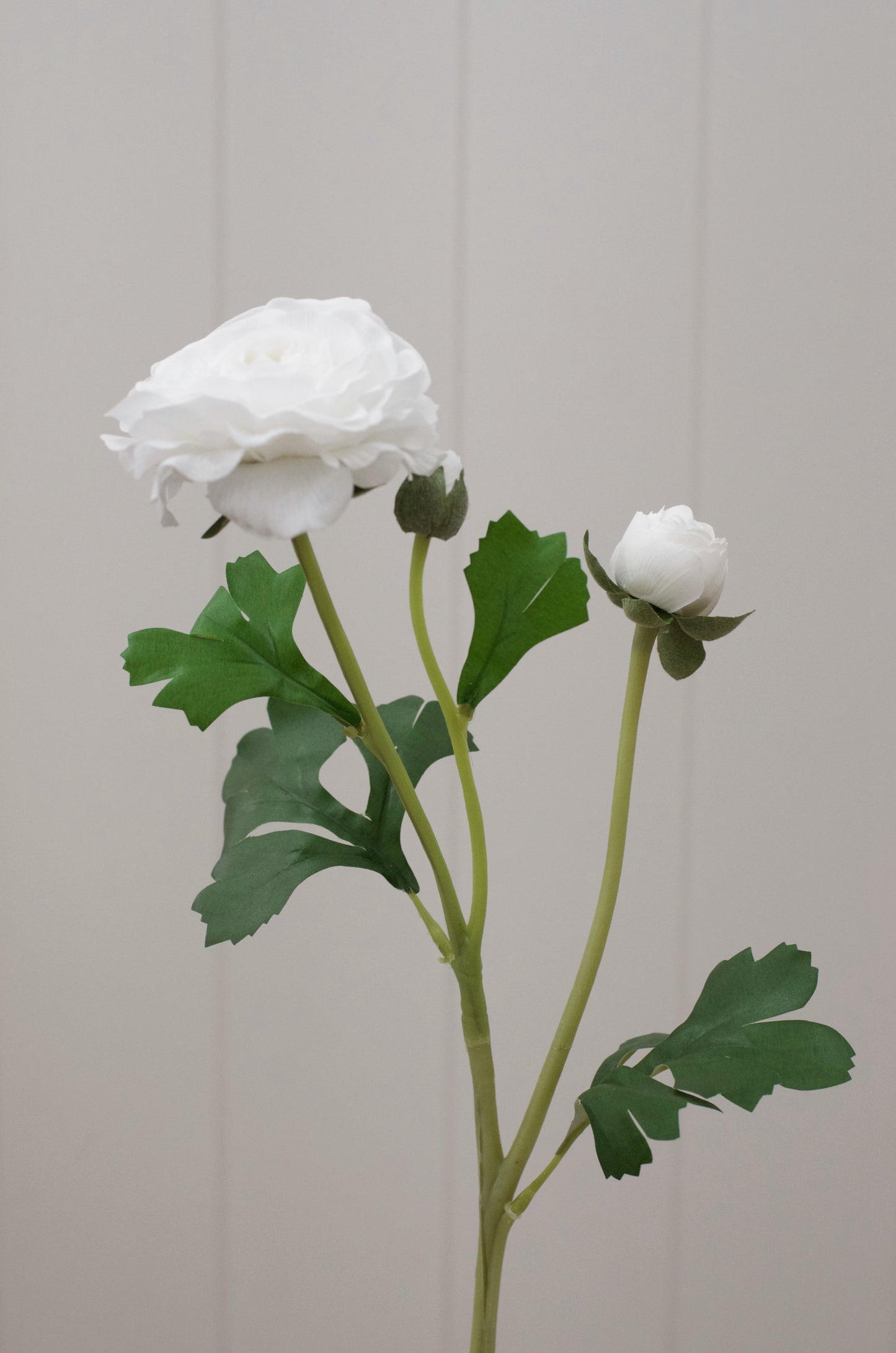 Real Touch White Ranunculus Stems 20” (Set of 3)