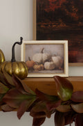 Vintage Pumpkins Framed Art - 9" x 7"