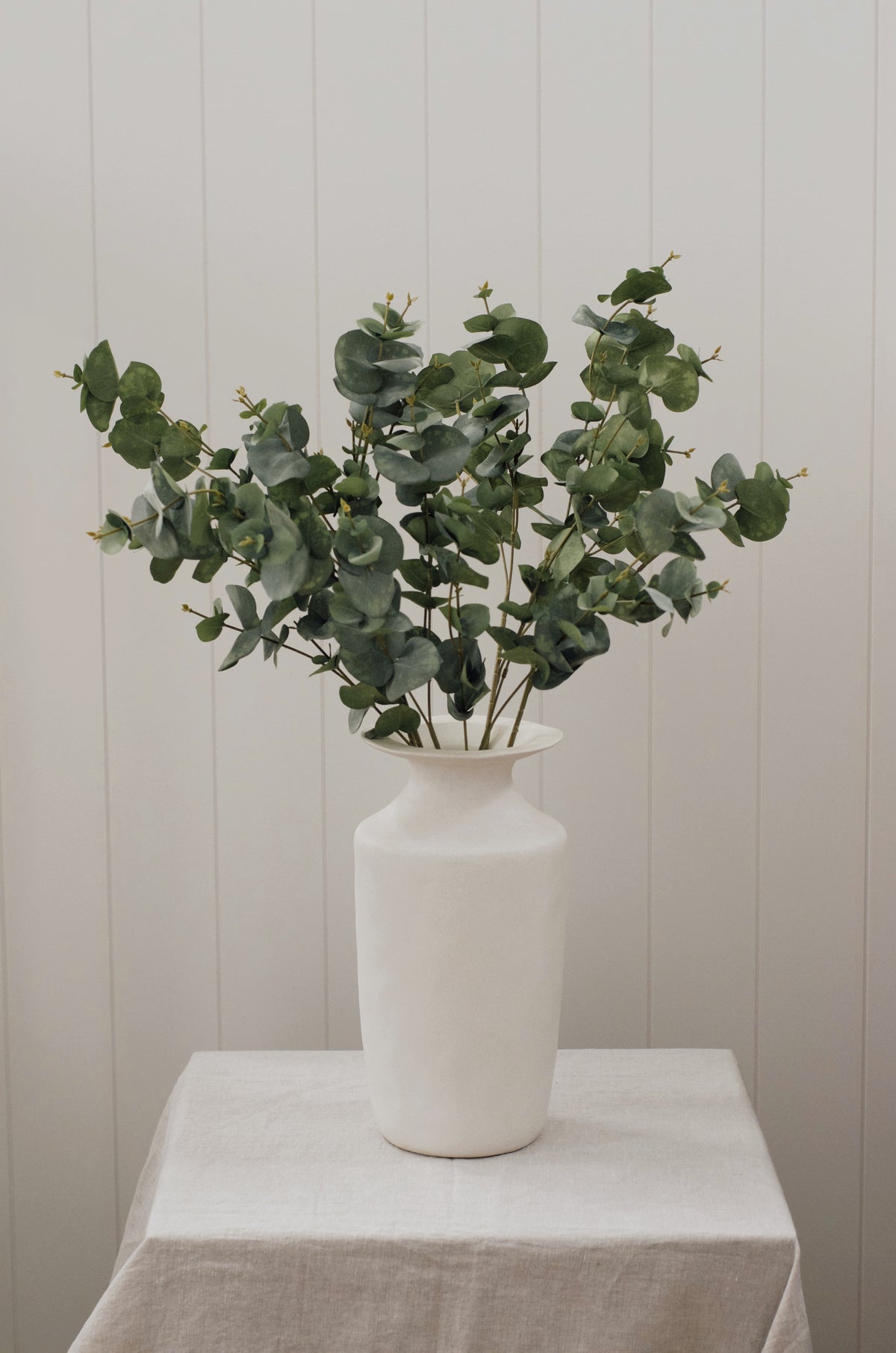 Eucalyptus Stems 31” (Set of 3)