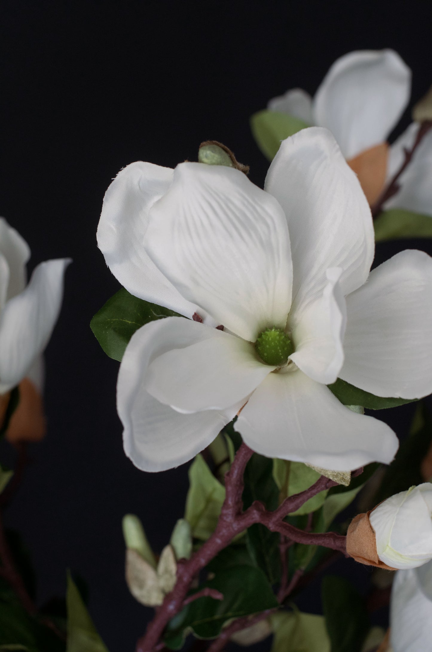 Blooming Mangolia Branch (Set of 3) - 28"