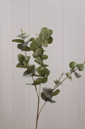 Eucalyptus Stems 31” (Set of 3)