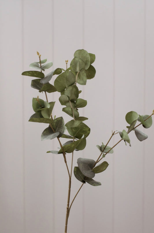 Eucalyptus Stems 31” (Set of 3)