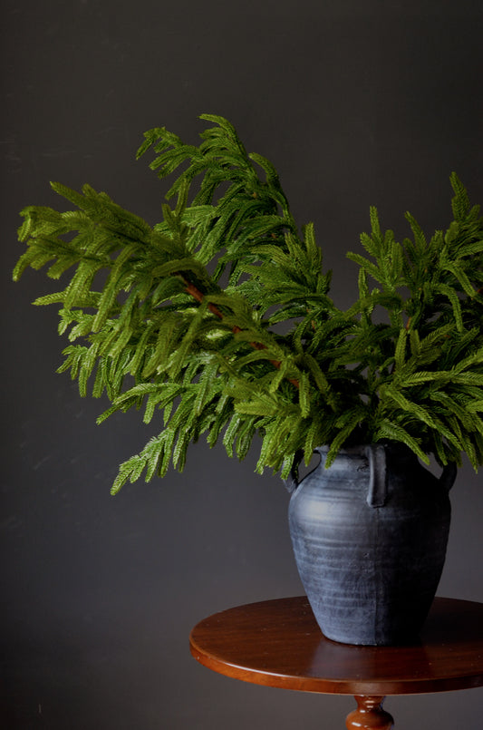 36” Real Touch Norfolk Pine Stems (Set of 3 or 6)