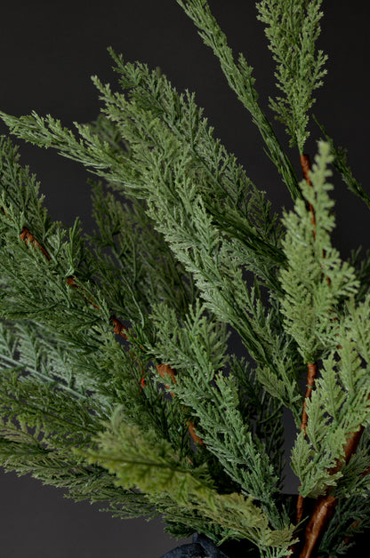 42” Real Touch Cypress Stems (Set of 3 or 6)