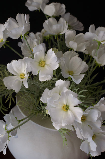 White Faux Cosmos Stems (Set of 3) - 24"