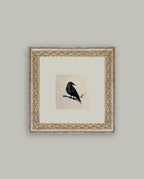Vintage Crow Framed Art 9”x9”