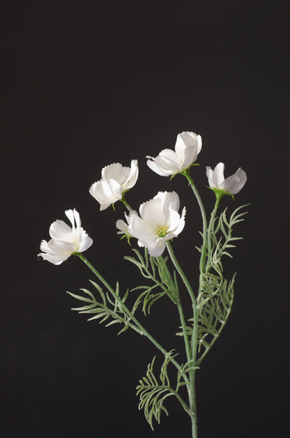 White Faux Cosmos Stems (Set of 3) - 24"