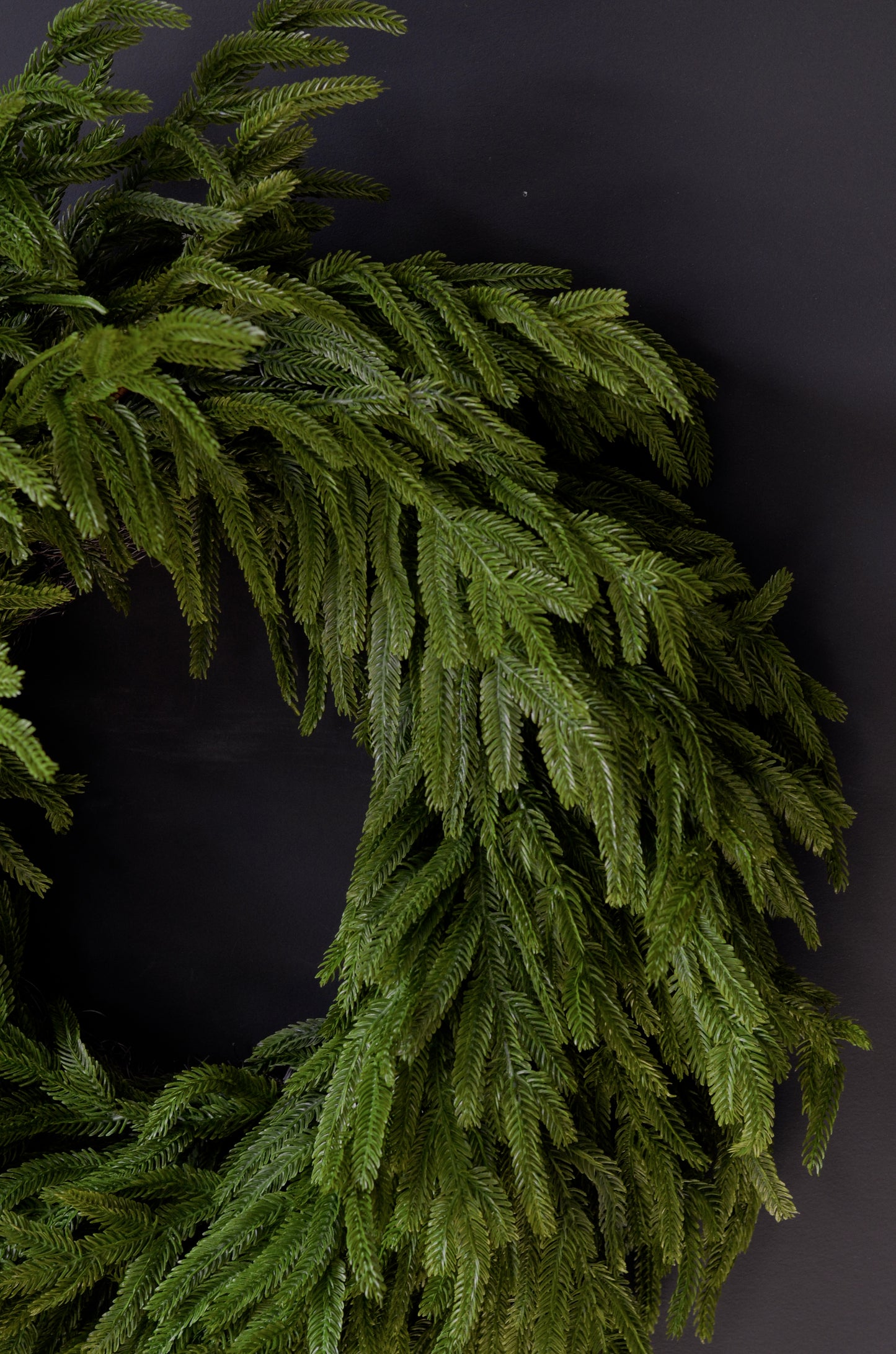 24" Norfolk Pine Wreath
