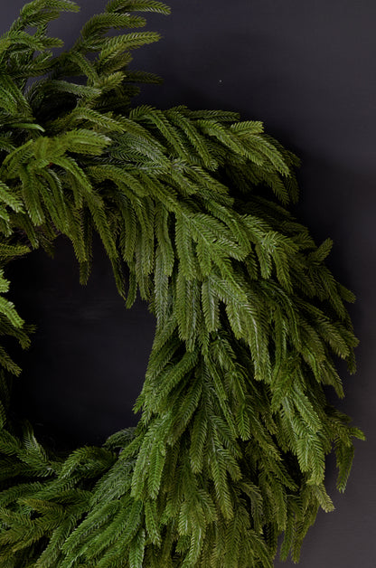 24" Norfolk Pine Wreath