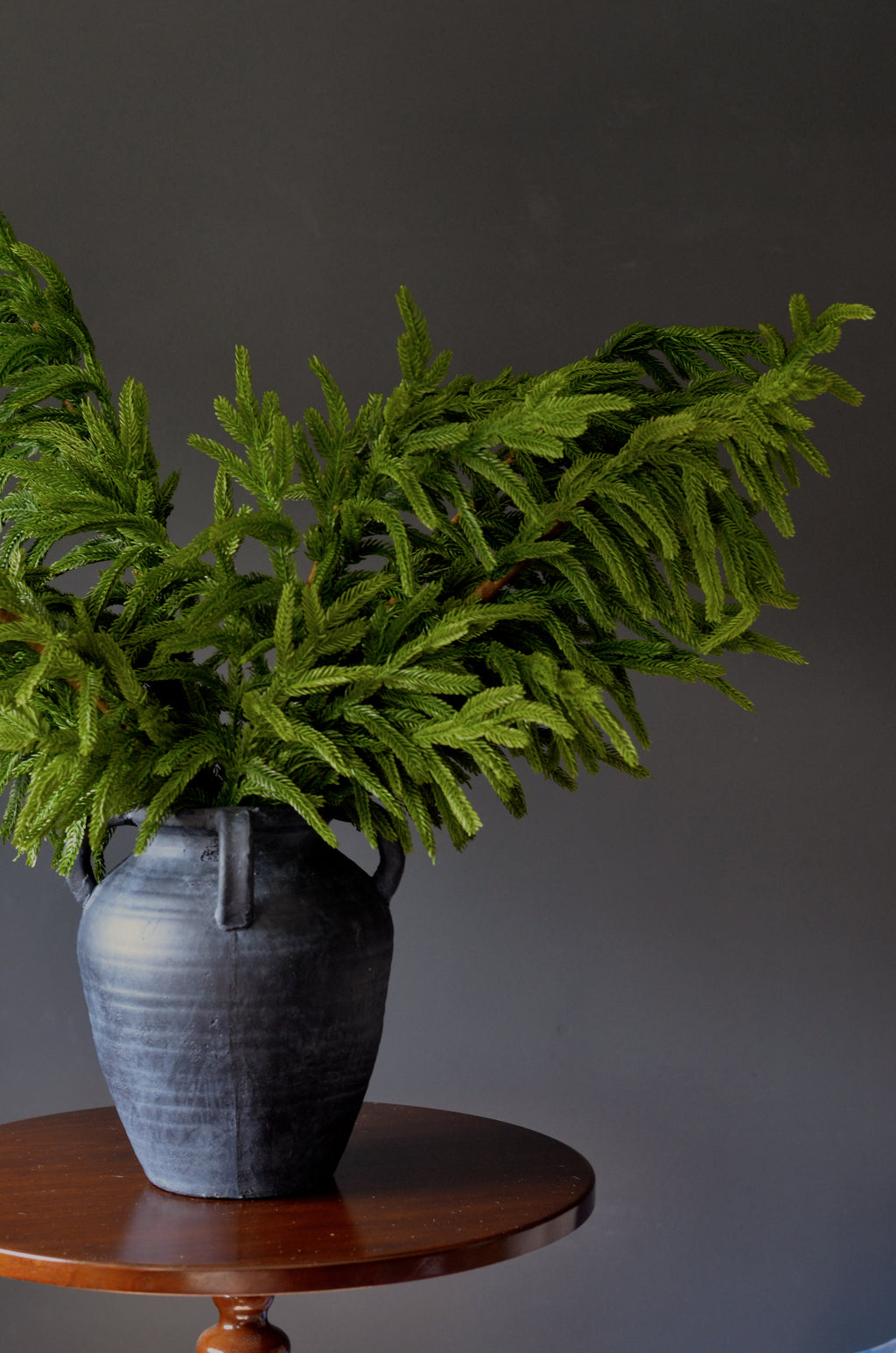 36” Real Touch Norfolk Pine Stems (Set of 3 or 6)