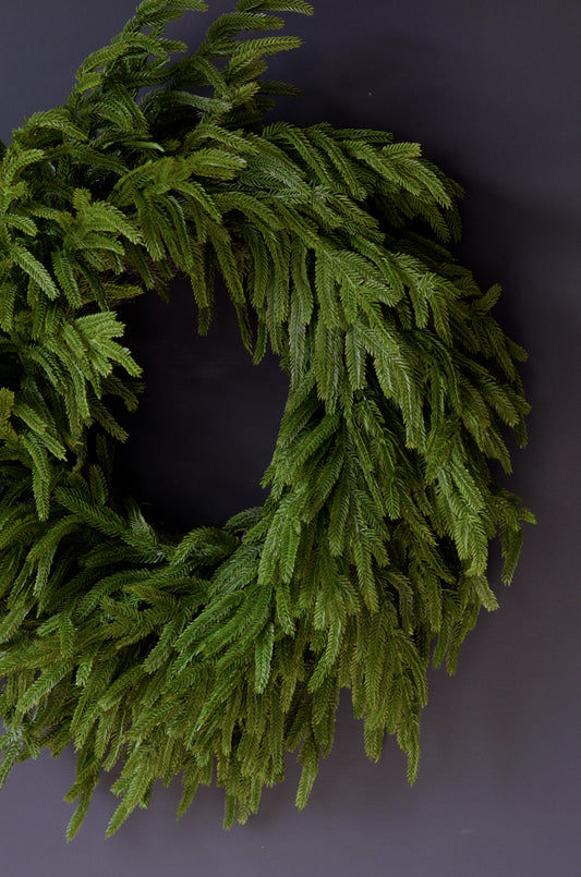 24" Norfolk Pine Wreath