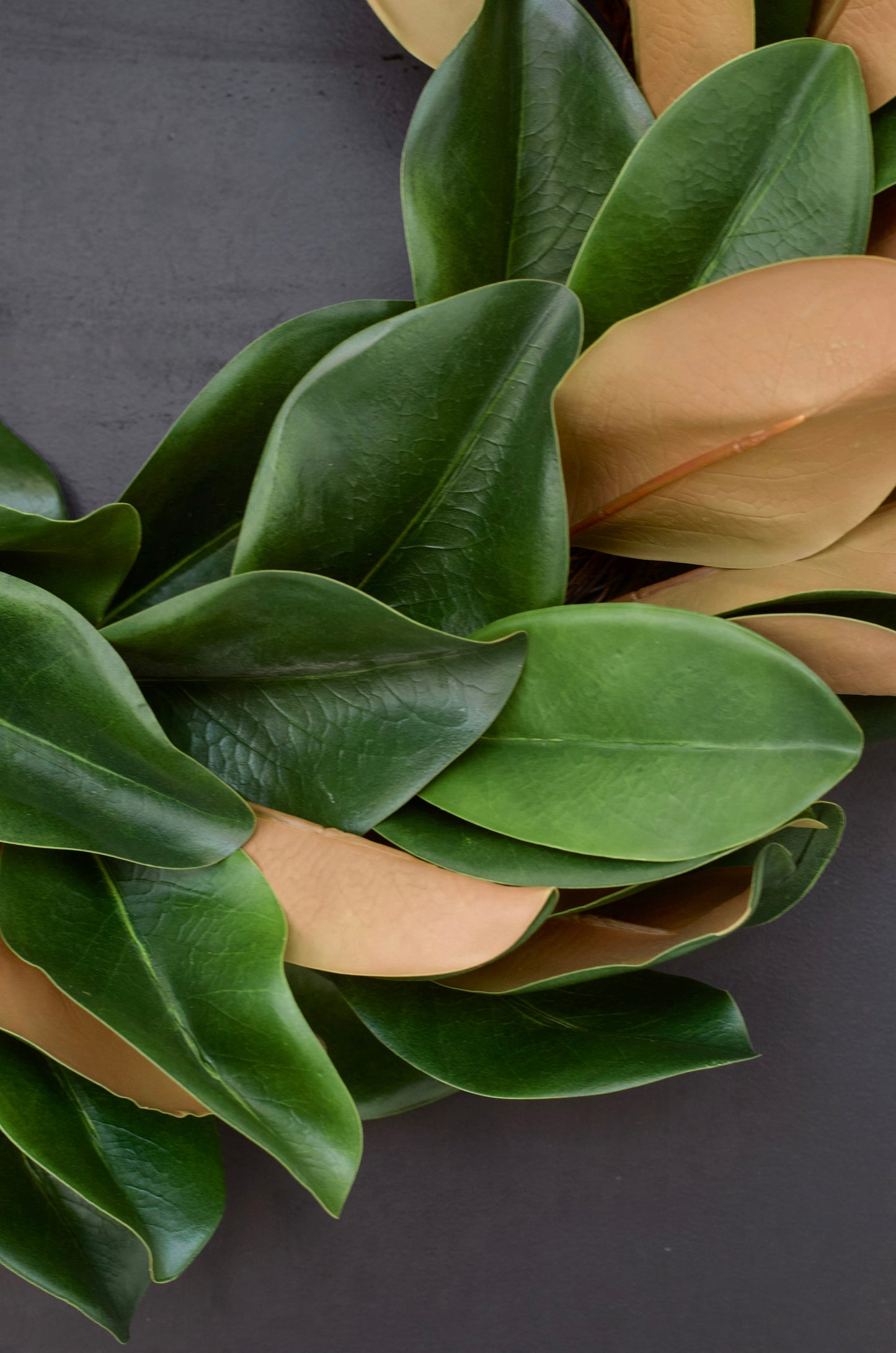 23" Magnolia Leaf Wreath