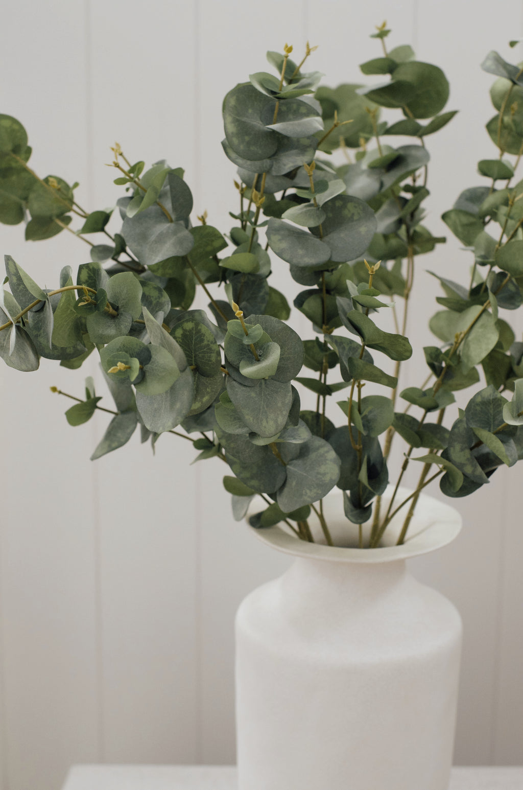 Eucalyptus Stems 31” (Set of 3)