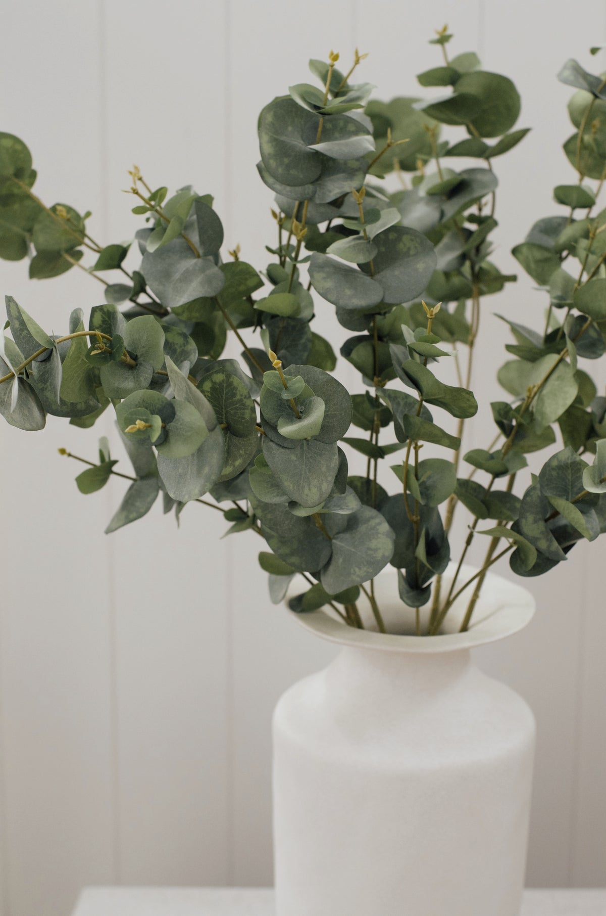 Eucalyptus Stems 31” (Set of 3)