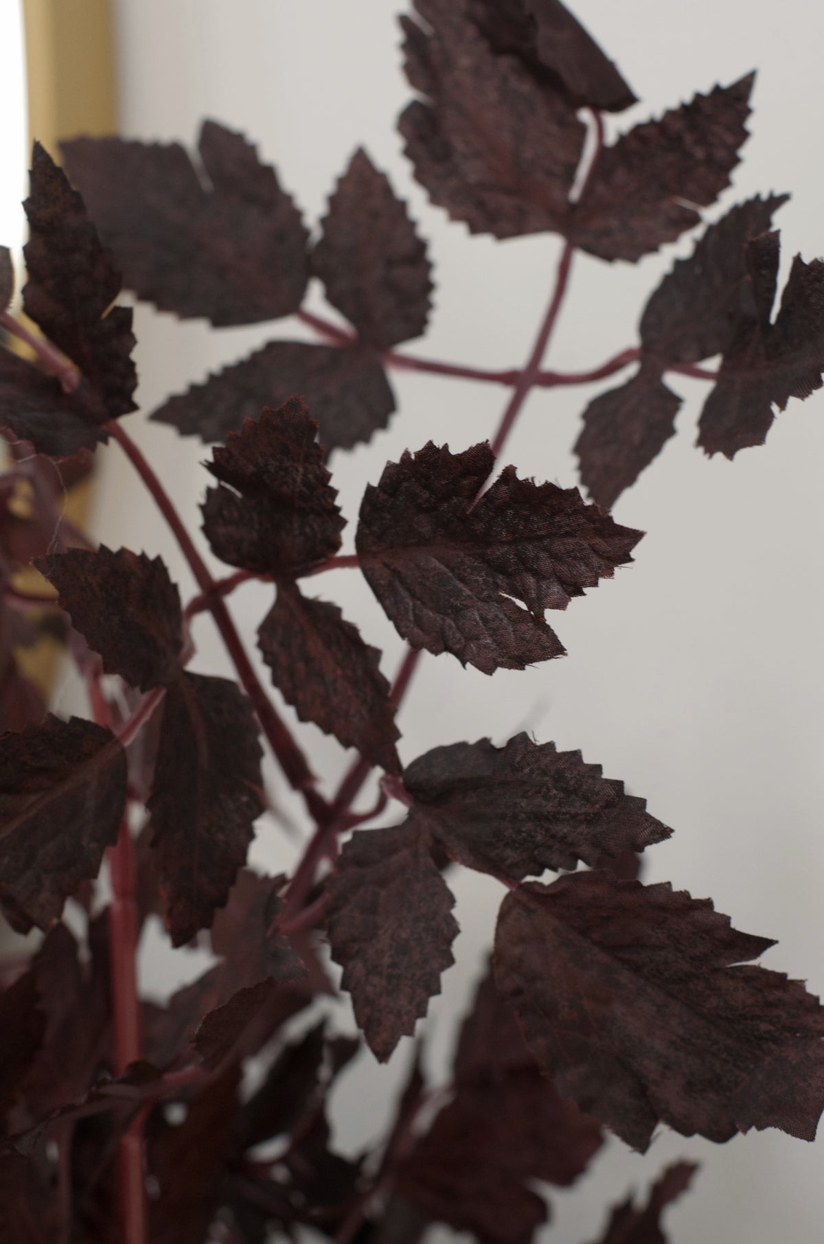 34" Faux Plum Stems (Set of 6)