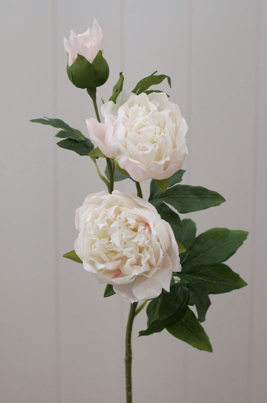 Real Touch Ivory & Blush Peony Stem 31” (Set of 3)