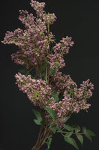 42" Dusty Plum Berry Stems (Set of 3)