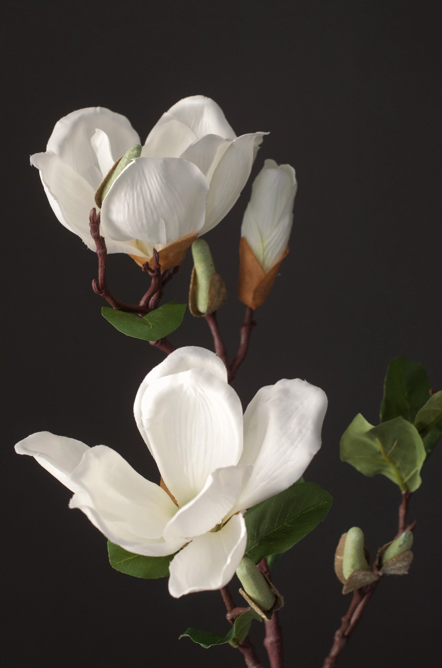 Blooming Mangolia Branch (Set of 3) - 28"