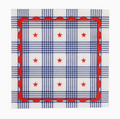 Plaid Stars Paper Cocktail Napkin (24 Pack)